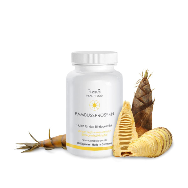 Bambussprossen Kapseln