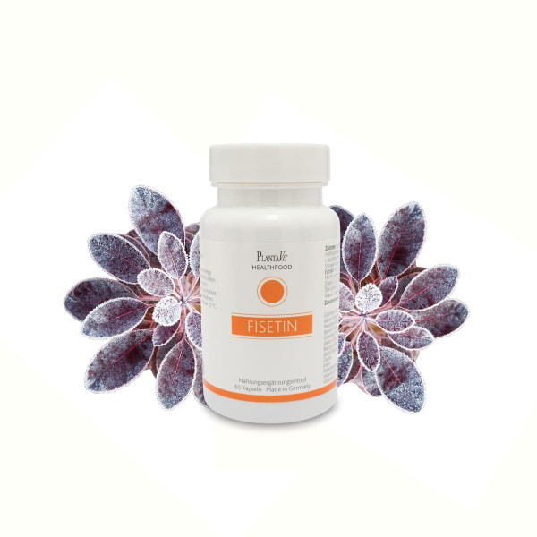Fisetin Kapseln