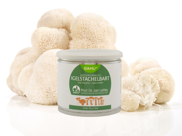 BIO Igelstachelbart, gemahlen, 90g je Packung