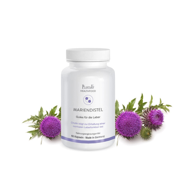 Mariendistel Kapseln